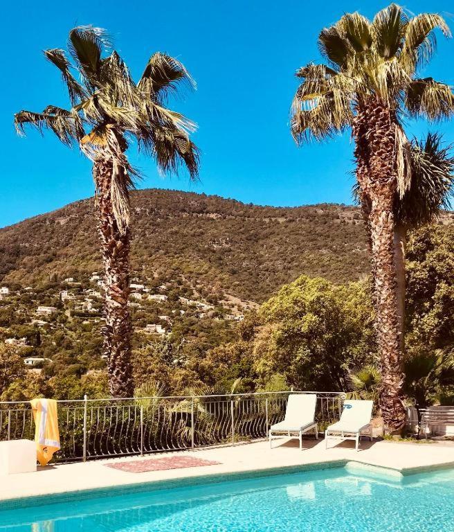Villa Hirondelles 35 Cavalaire-sur-Mer Exteriör bild